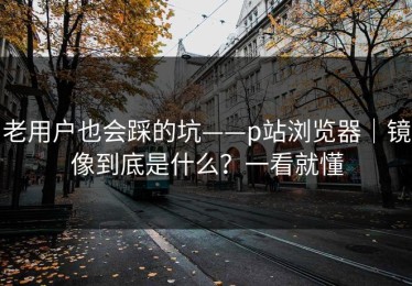 老用户也会踩的坑——p站浏览器｜镜像到底是什么？一看就懂