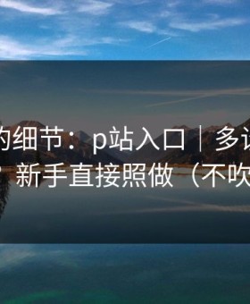 被忽略的细节：p站入口｜多设备怎么切换？新手直接照做（不吹不黑）