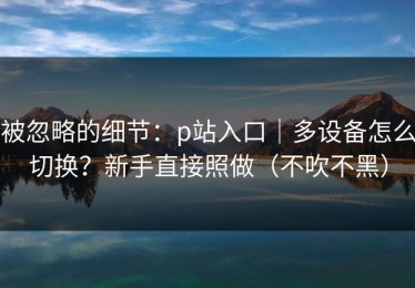 被忽略的细节：p站入口｜多设备怎么切换？新手直接照做（不吹不黑）