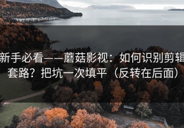 新手必看——蘑菇影视：如何识别剪辑套路？把坑一次填平（反转在后面）