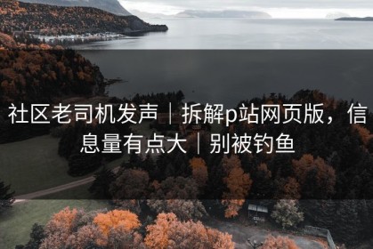 社区老司机发声｜拆解p站网页版，信息量有点大｜别被钓鱼