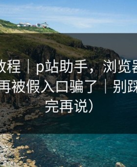 收藏级教程｜p站助手，浏览器怎么设置？别再被假入口骗了｜别踩坑（看完再说）