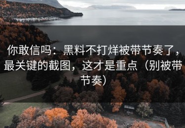 你敢信吗：黑料不打烊被带节奏了，最关键的截图，这才是重点（别被带节奏）