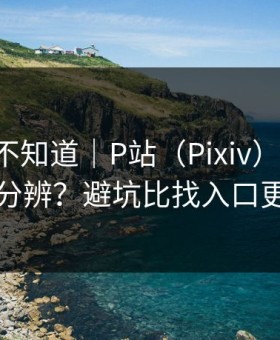 很多人不知道｜P站（Pixiv）-视频页怎么分辨？避坑比找入口更重要