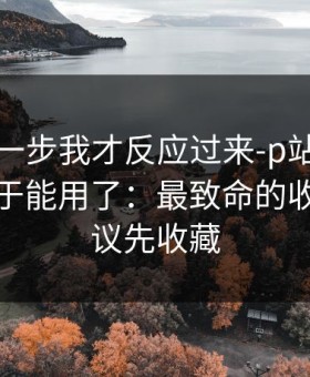 看到这一步我才反应过来-p站视频网页版终于能用了：最致命的收藏，建议先收藏