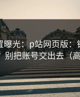 隐藏设置曝光：p站网页版：镜像到底是什么？别把账号交出去（高能干货）