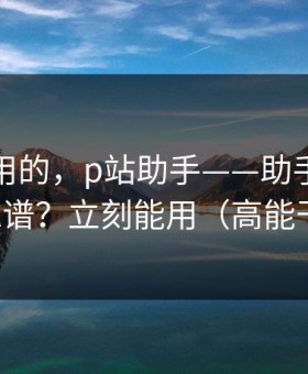 真正好用的，p站助手——助手到底靠不靠谱？立刻能用（高能干货）