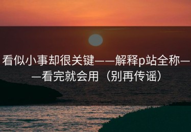 看似小事却很关键——解释p站全称——看完就会用（别再传谣）