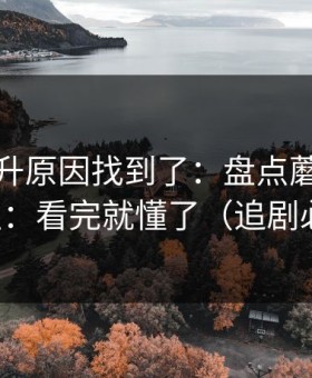 数据飙升原因找到了：盘点蘑菇视频社区：看完就懂了（追剧必备）