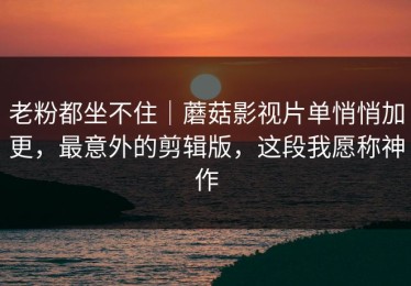老粉都坐不住｜蘑菇影视片单悄悄加更，最意外的剪辑版，这段我愿称神作