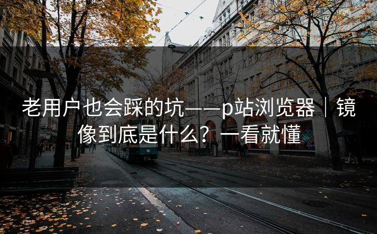 老用户也会踩的坑——p站浏览器｜镜像到底是什么？一看就懂