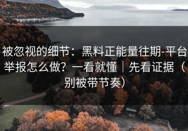 被忽视的细节：黑料正能量往期-平台举报怎么做？一看就懂｜先看证据（别被带节奏）
