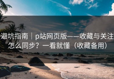 避坑指南｜p站网页版——收藏与关注怎么同步？一看就懂（收藏备用）