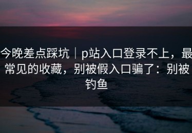 今晚差点踩坑｜p站入口登录不上，最常见的收藏，别被假入口骗了：别被钓鱼