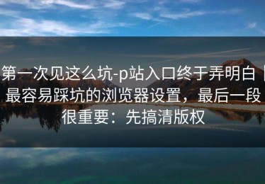 第一次见这么坑-p站入口终于弄明白｜最容易踩坑的浏览器设置，最后一段很重要：先搞清版权