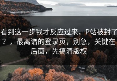 看到这一步我才反应过来，P站被封了？，最离谱的登录页，别急，关键在后面，先搞清版权