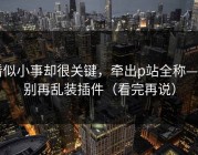 看似小事却很关键，牵出p站全称——别再乱装插件（看完再说）