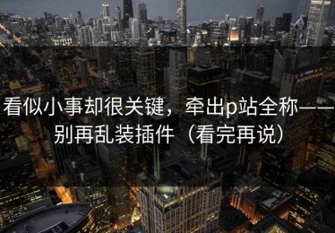 看似小事却很关键，牵出p站全称——别再乱装插件（看完再说）