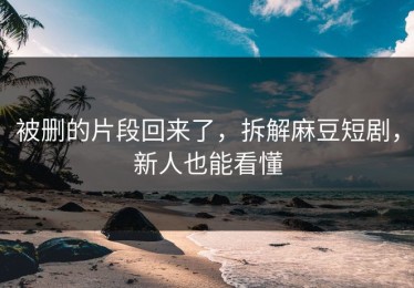 被删的片段回来了，拆解麻豆短剧，新人也能看懂