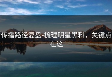 传播路径复盘-梳理明星黑料，关键点在这