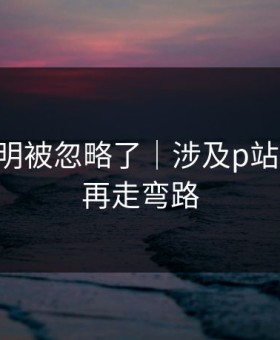 官方说明被忽略了｜涉及p站全称-别再走弯路