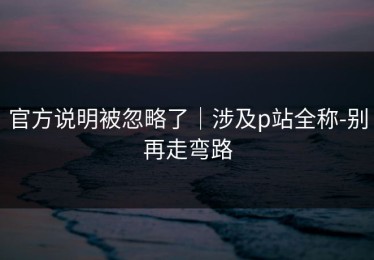 官方说明被忽略了｜涉及p站全称-别再走弯路