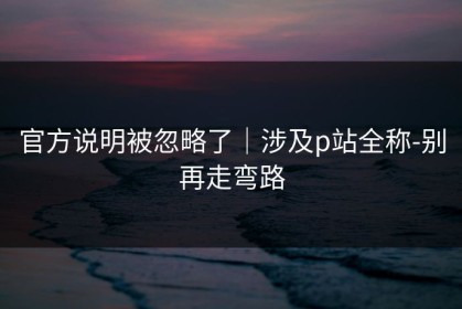 官方说明被忽略了｜涉及p站全称-别再走弯路