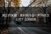 真正的关键｜黑料网今日：时间线怎么对？立刻能用