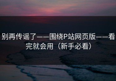 别再传谣了——围绕P站网页版——看完就会用（新手必看）