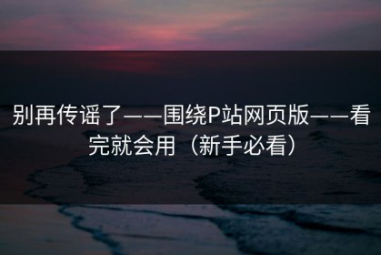 别再传谣了——围绕P站网页版——看完就会用（新手必看）