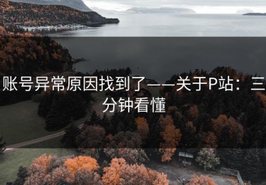 账号异常原因找到了——关于P站：三分钟看懂