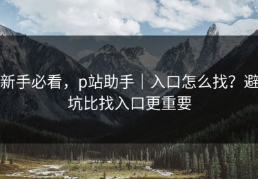 新手必看，p站助手｜入口怎么找？避坑比找入口更重要