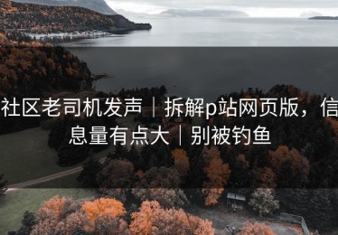 社区老司机发声｜拆解p站网页版，信息量有点大｜别被钓鱼