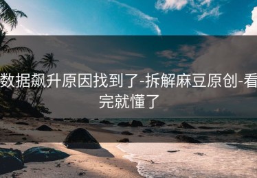 数据飙升原因找到了-拆解麻豆原创-看完就懂了