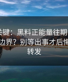 真正的关键：黑料正能量往期——转发的法律边界？别等出事才后悔｜谨慎转发