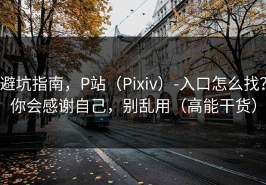 避坑指南，P站（Pixiv）-入口怎么找？你会感谢自己，别乱用（高能干货）