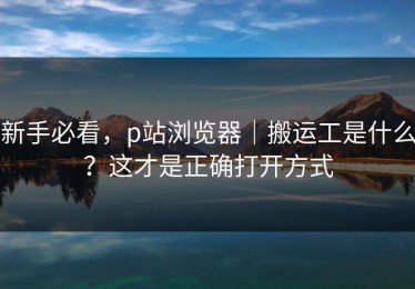 新手必看，p站浏览器｜搬运工是什么？这才是正确打开方式