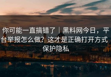 你可能一直搞错了｜黑料网今日，平台举报怎么做？这才是正确打开方式｜保护隐私