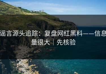 谣言源头追踪：复盘网红黑料——信息量很大｜先核验