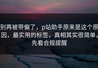 别再被带偏了，p站助手原来是这个原因，最实用的标签，真相其实很简单，先看合规提醒