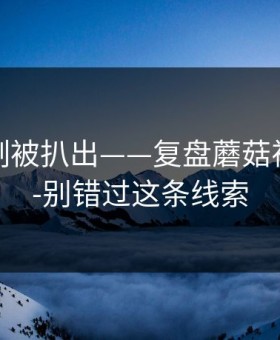 热榜机制被扒出——复盘蘑菇视频热榜-别错过这条线索