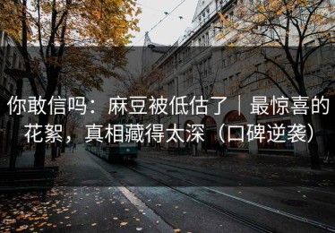 你敢信吗：麻豆被低估了｜最惊喜的花絮，真相藏得太深（口碑逆袭）