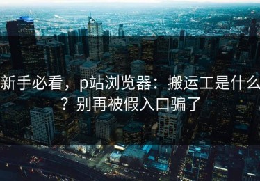 新手必看，p站浏览器：搬运工是什么？别再被假入口骗了