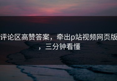 评论区高赞答案，牵出p站视频网页版，三分钟看懂