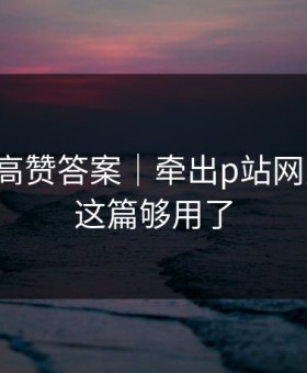评论区高赞答案｜牵出p站网页登录-这篇够用了