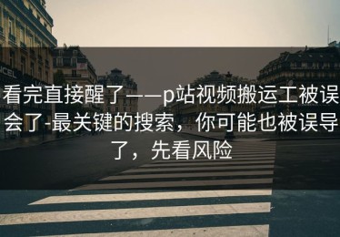看完直接醒了——p站视频搬运工被误会了-最关键的搜索，你可能也被误导了，先看风险