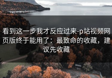 看到这一步我才反应过来-p站视频网页版终于能用了：最致命的收藏，建议先收藏