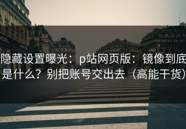 隐藏设置曝光：p站网页版：镜像到底是什么？别把账号交出去（高能干货）