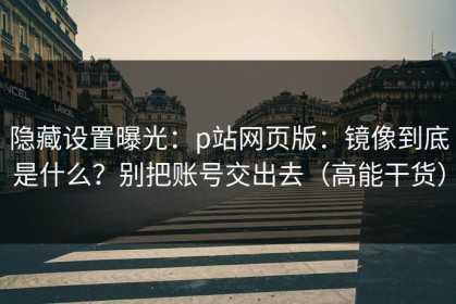 隐藏设置曝光：p站网页版：镜像到底是什么？别把账号交出去（高能干货）