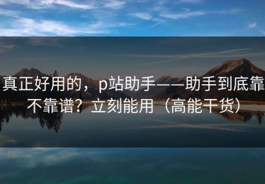 真正好用的，p站助手——助手到底靠不靠谱？立刻能用（高能干货）
